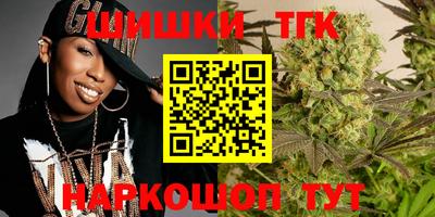 спиды Дубна