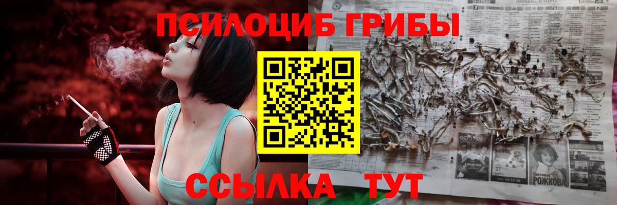 Галлюциногенные грибы Psilocybine cubensis Ленинск-Кузнецкий