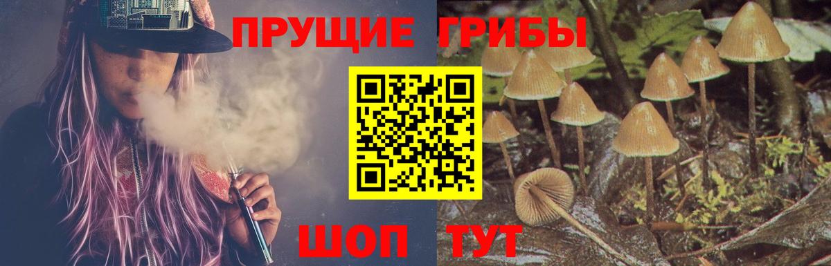 Псилоцибиновые грибы Psilocybe  Псилоцибиновые грибы мицелий  Ленинск-Кузнецкий  Вход с VPN 